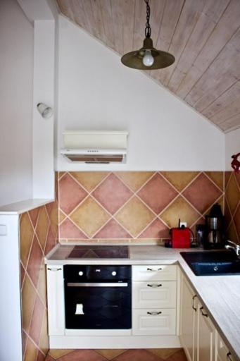 St. Prokop Luxury Apartments 254 Boží Dar エクステリア 写真